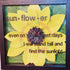 Sunflower Shadow Box
